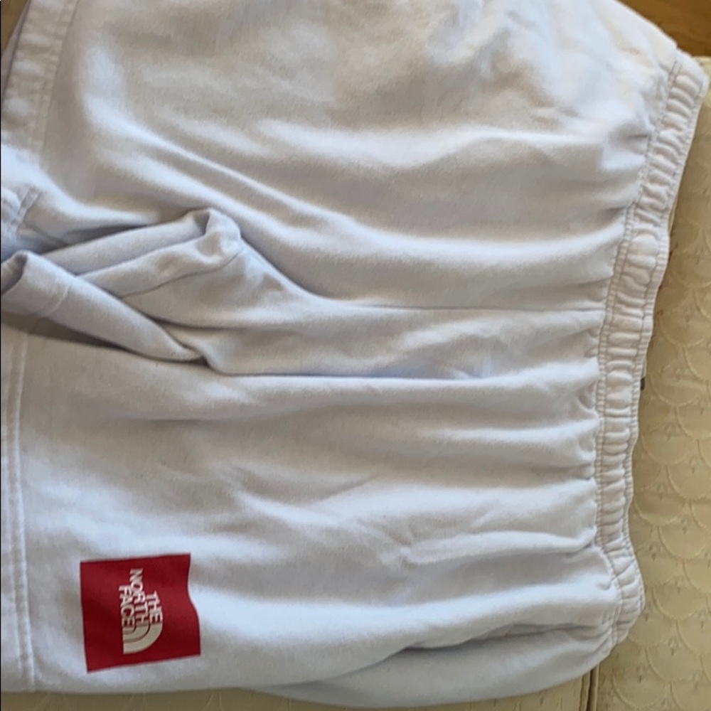 The north face men’s sweat shorts